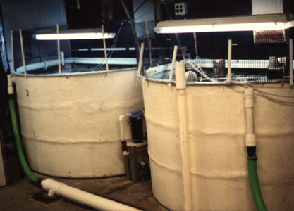 Aquarium tanks built by IFG.